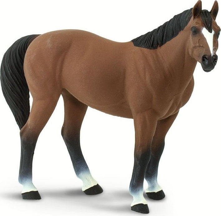 Quarter Horse Brown