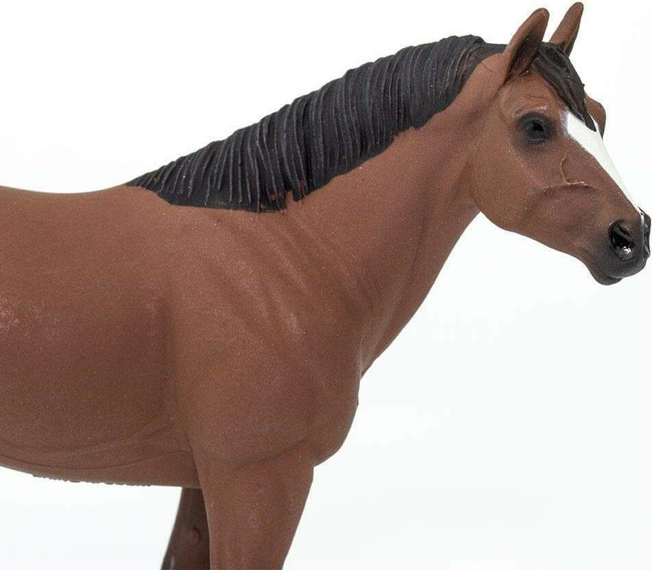Quarter Horse Brown