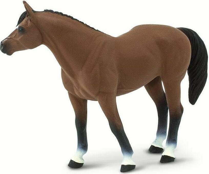 Quarter Horse Brown