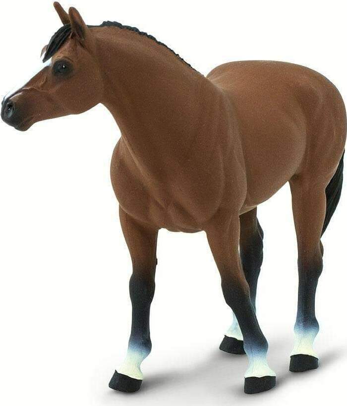 Quarter Horse Brown