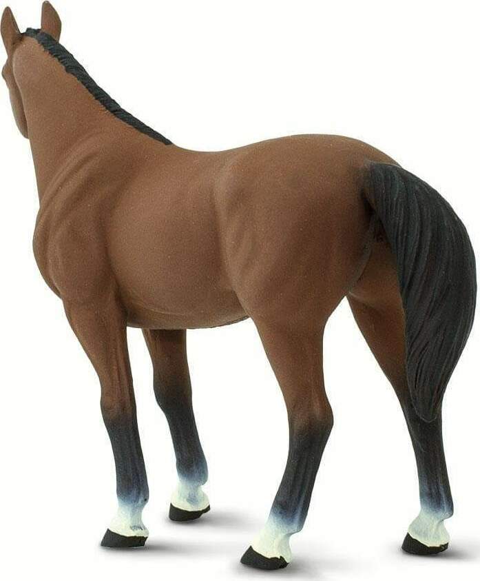 Quarter Horse Brown