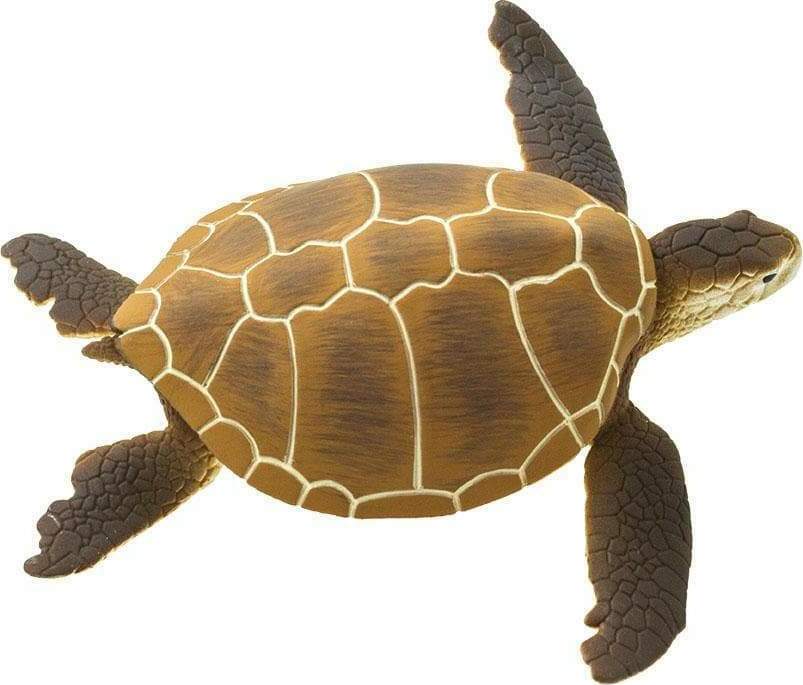 Green Sea Turtle Toy