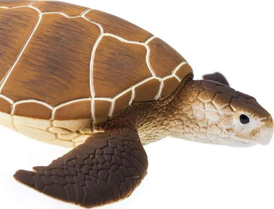 Green Sea Turtle Toy