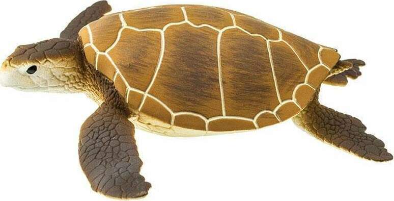 Green Sea Turtle Toy