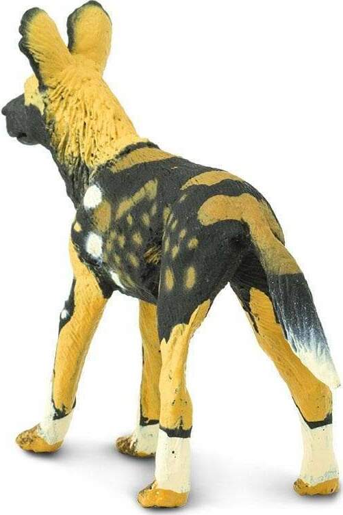 African Wild Dog