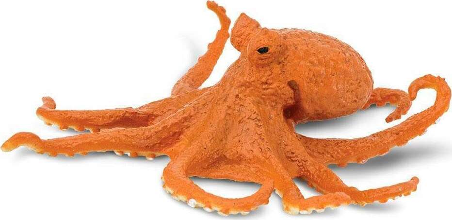 Octopus Toy