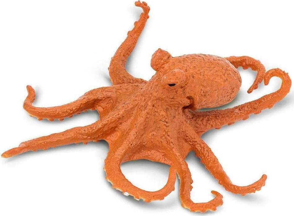 Octopus Toy