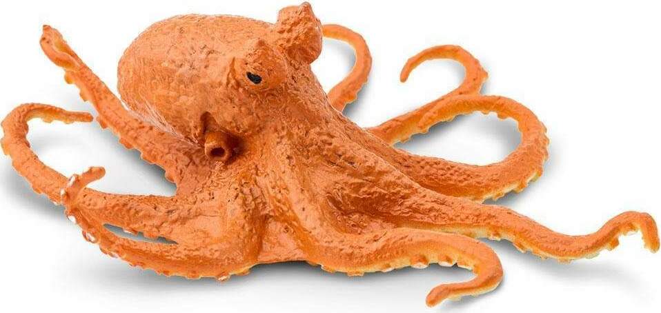 Octopus Toy