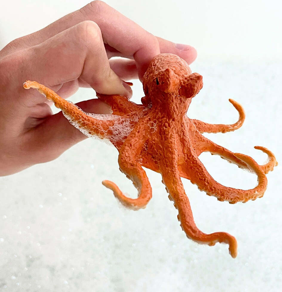 Octopus Toy