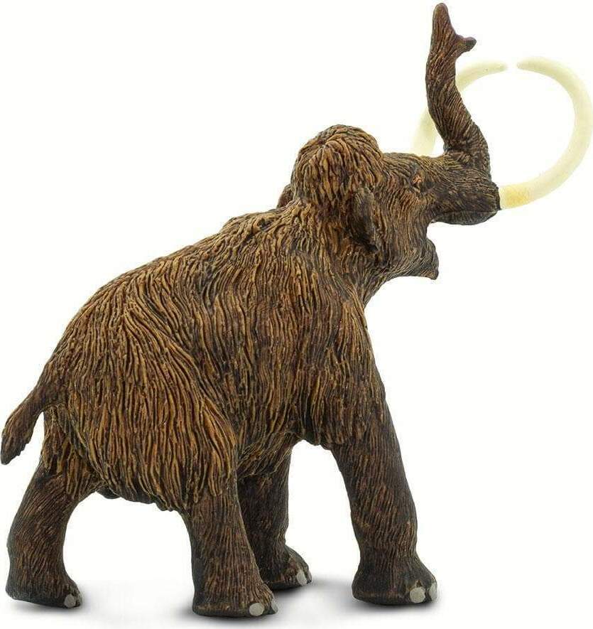 Wooly Mammoth