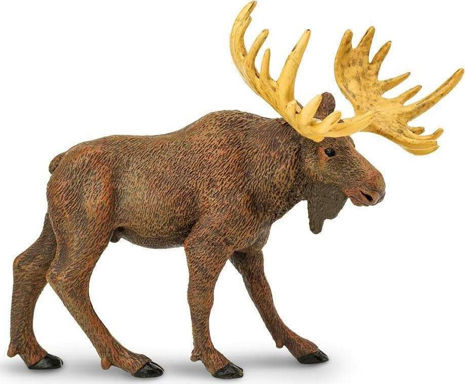 Moose Toy