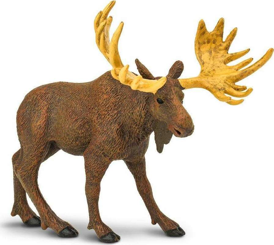 Moose Toy