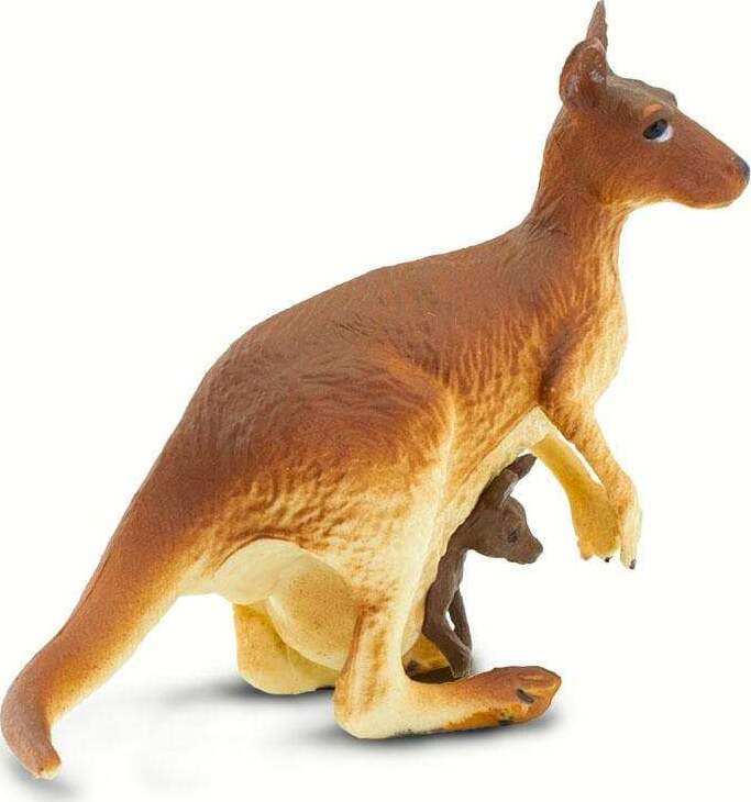 Kangaroo