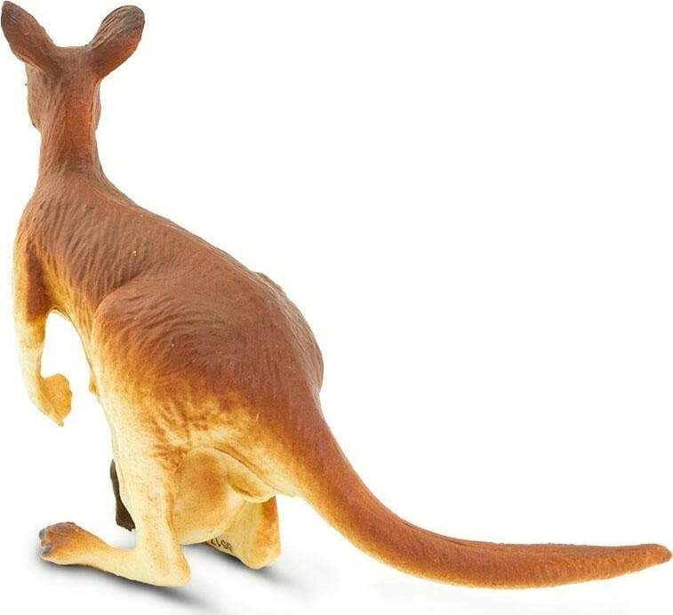 Kangaroo