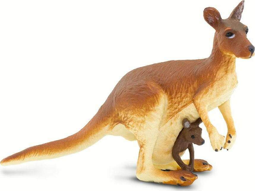 Kangaroo