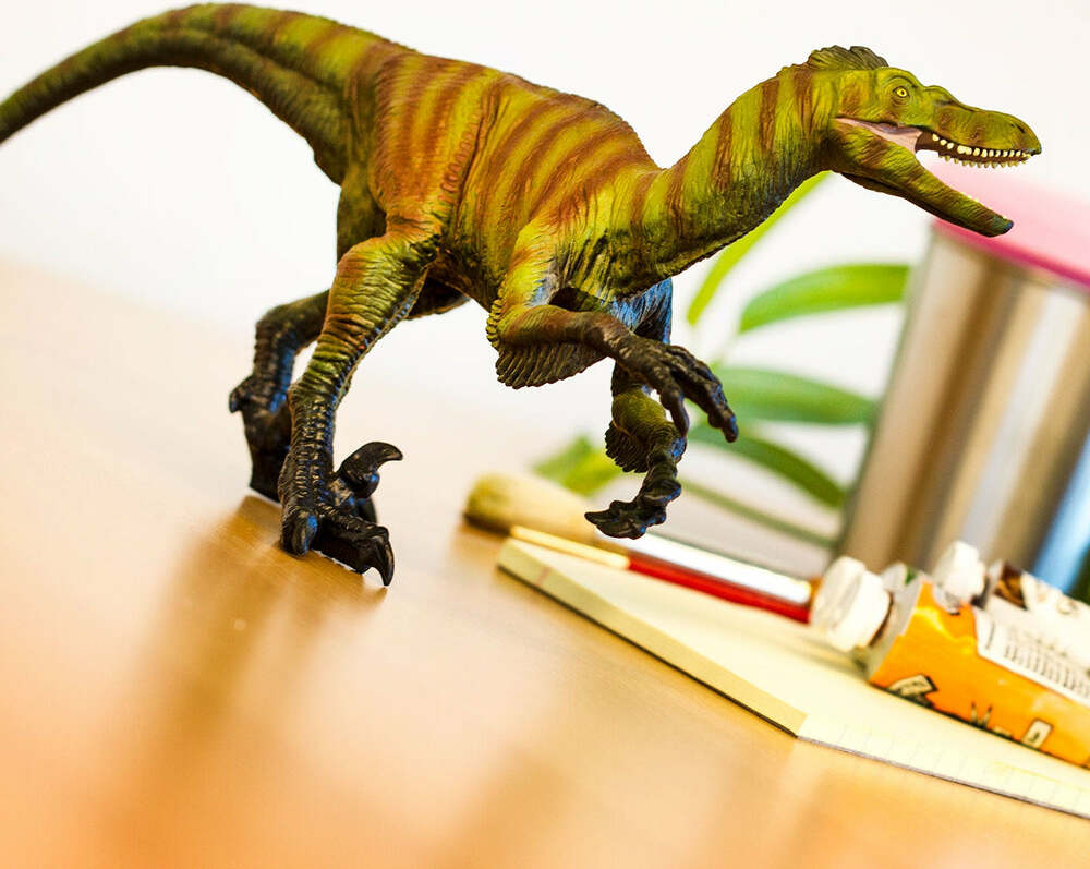 Great Dinos Velociraptor