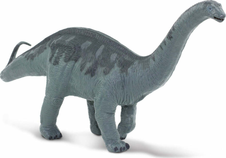 Apatosaurus