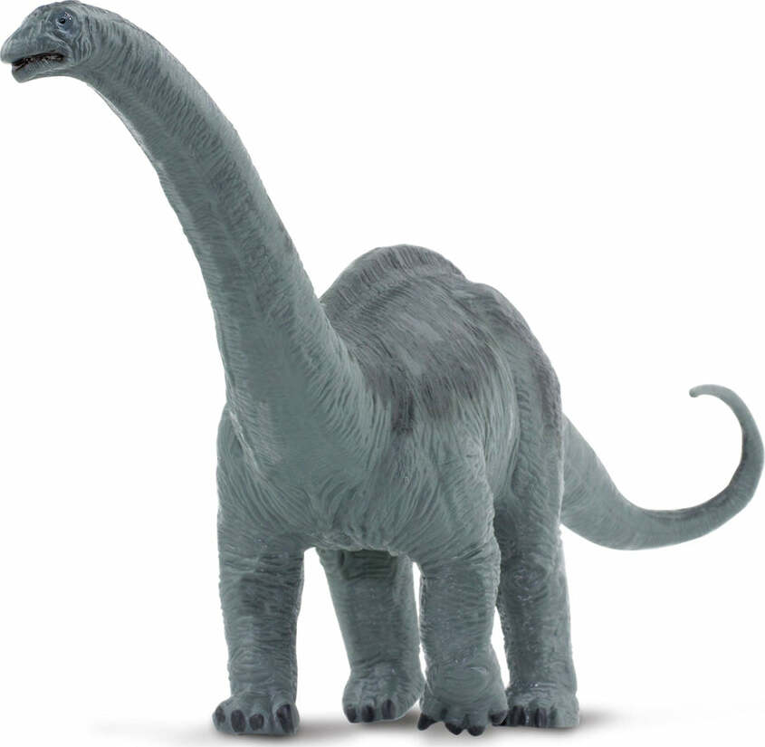 Apatosaurus