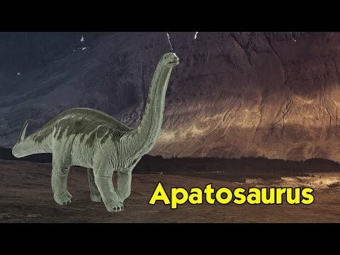 Apatosaurus