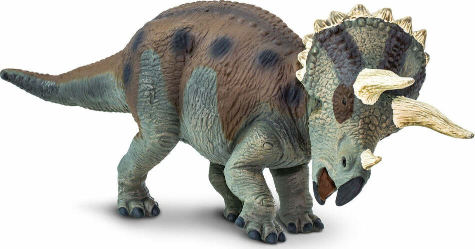 Triceratops