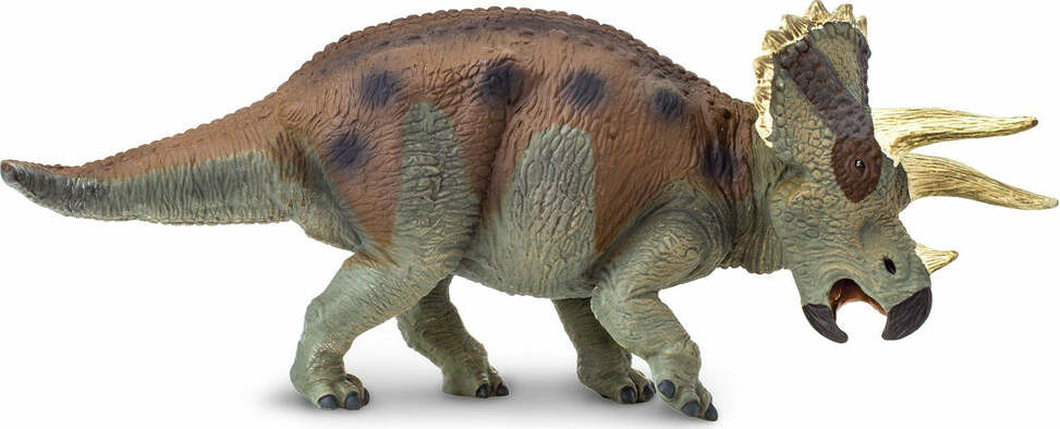 Triceratops