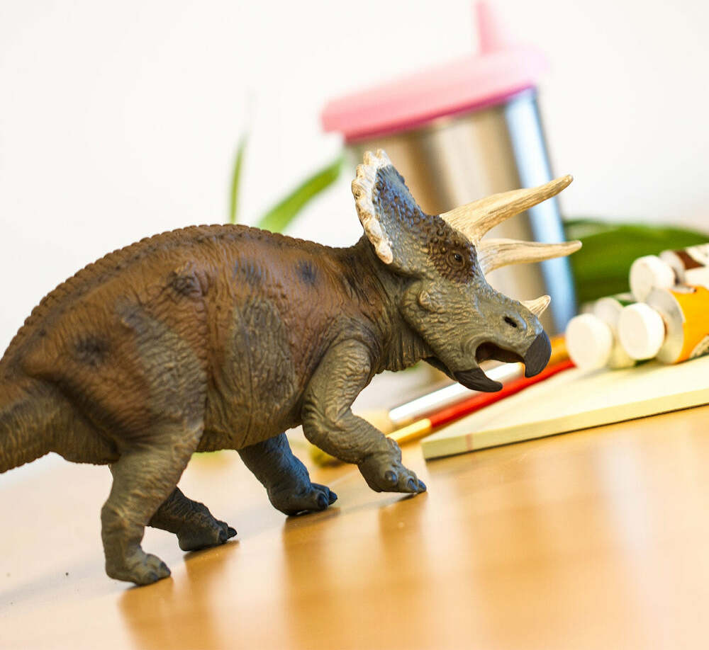 Triceratops