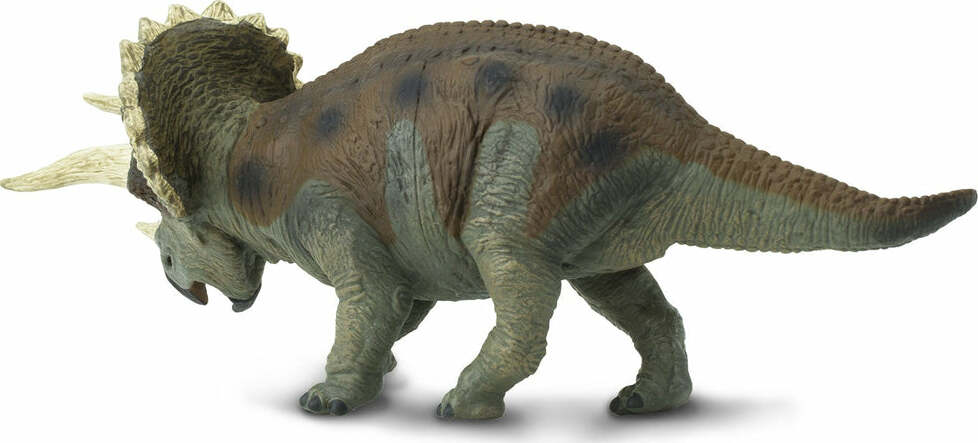 Triceratops
