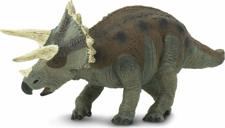 Triceratops