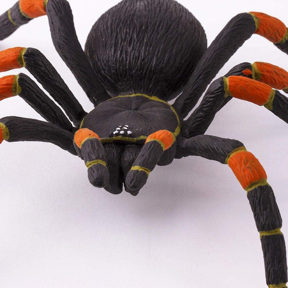 Tarantula