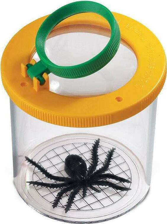 World's Best Bug Jar