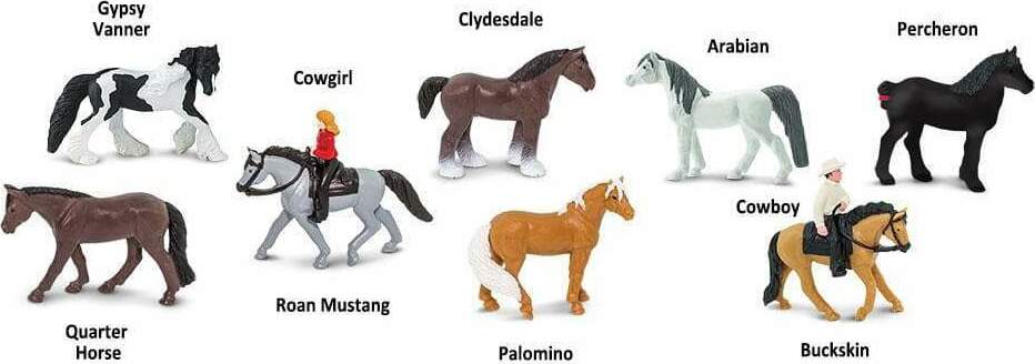 Horses & Riders