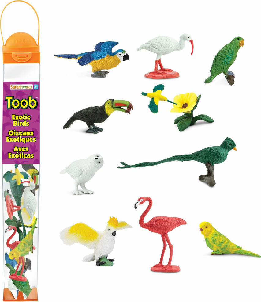 Exotic Birds Toob