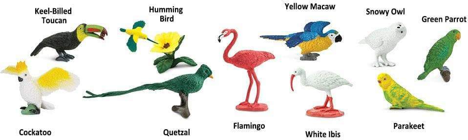 Exotic Birds Toob