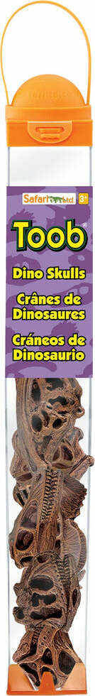 Dinosaur Skulls