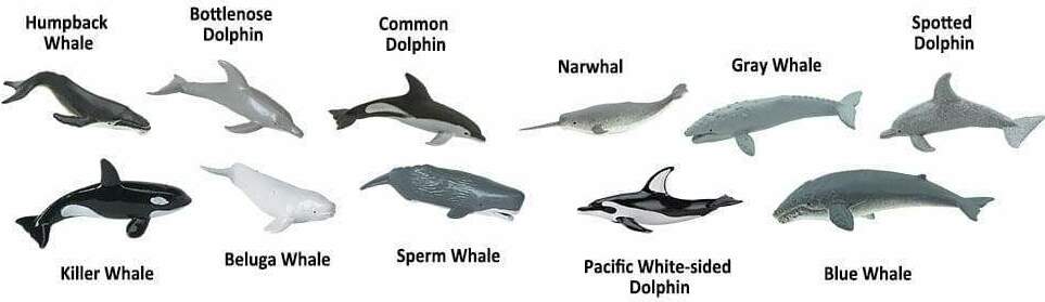 Whales & Dolphins Toob