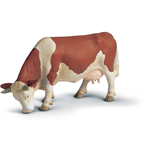 Fleckvieh Cow