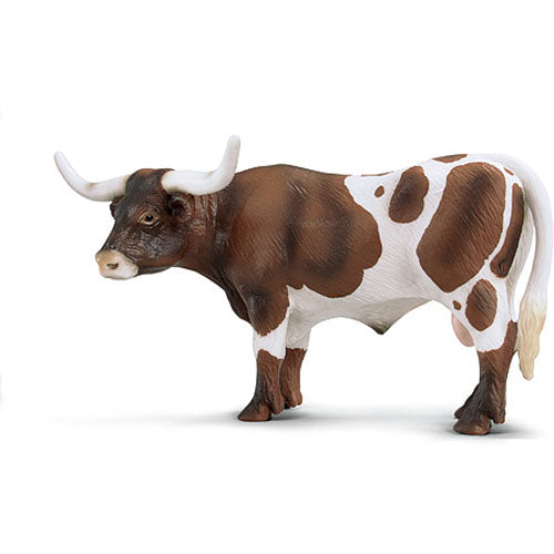 Texas Longhorn Bull
