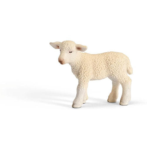 LAMB, STANDING