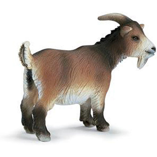 Goat Doe