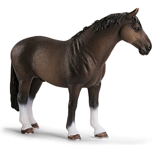 HANOVERIAN STALLION