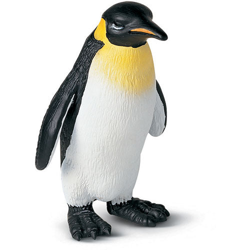 KING PENGUIN