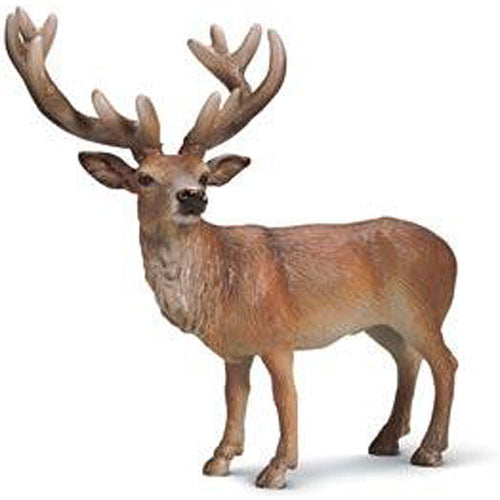 STAG