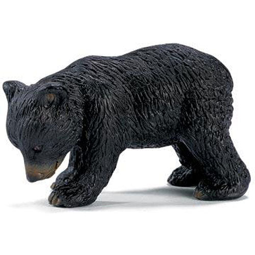 BLACK BEAR CUB