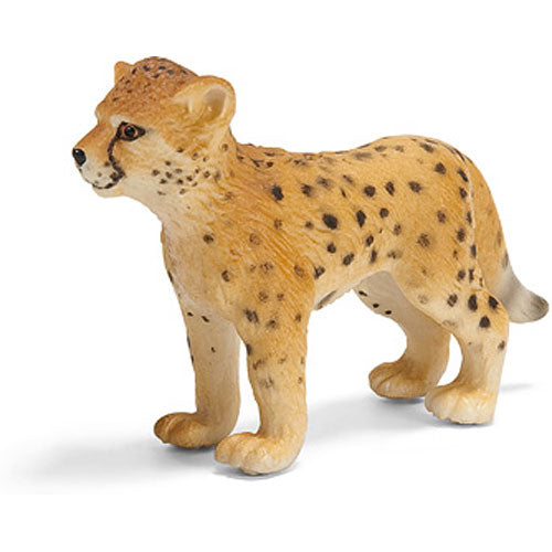 CHEETAH CUB