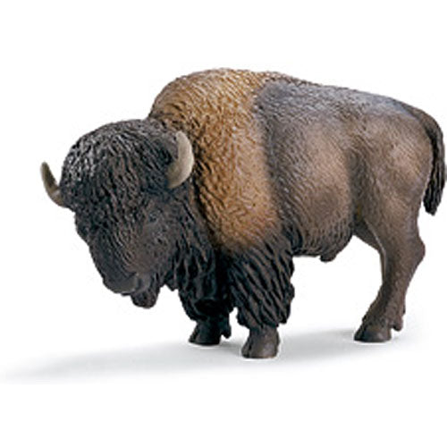 AMERICAN BISON