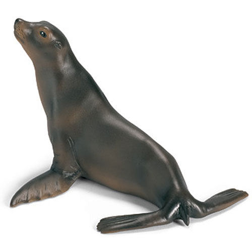 Sea Lion
