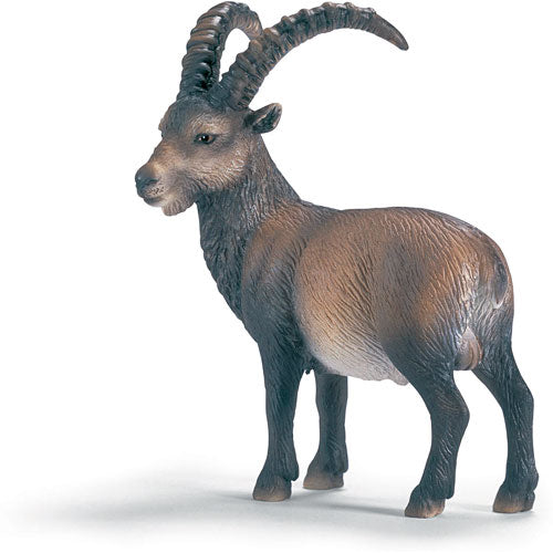 Ibex