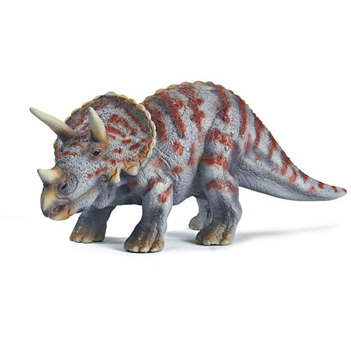 Triceratops