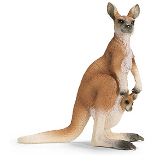 KANGAROO