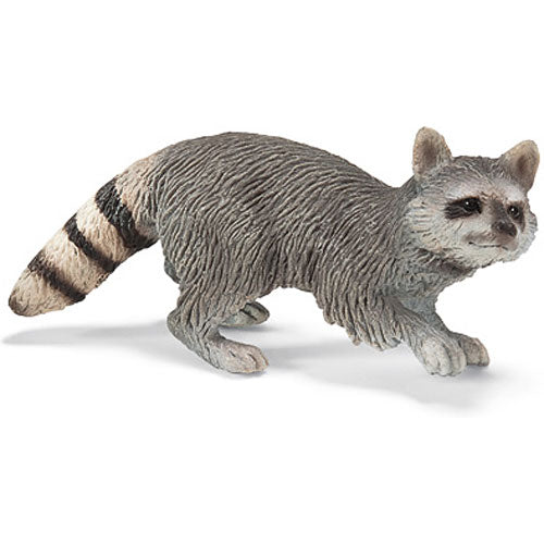 Raccoon
